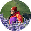 Voyageur portant un bonnet rouge et une veste colorée marchant à travers un champ de lupins violets en Islande.