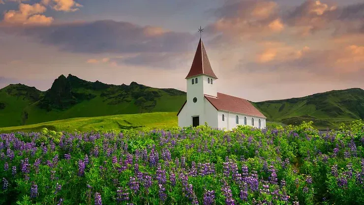 Une &eacute;glise pittoresque &agrave; Vik, encercl&eacute;e par des champs de lupins violets et le paysage majestueux de la c&ocirc;te sud de l'Islande.