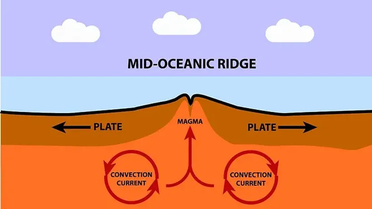 Illustration de la dorsale médio-atlantique montrant le mouvement des plaques tectoniques, la remontée de magma et les courants de convection dans l'océan.
