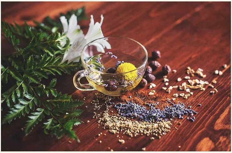 Une tasse de thé en verre transparent entourée de diverses herbes et épices comme la lavande, des graines et des fleurs séchées, posée sur une table en bois brun foncé.