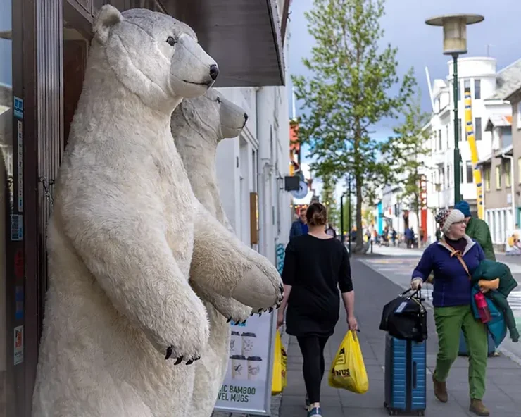 Deux ours polaires en peluche grandeur nature devant un magasin en Islande, capturant l’essence des traditions locales.